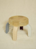 Squat Boana Platanera