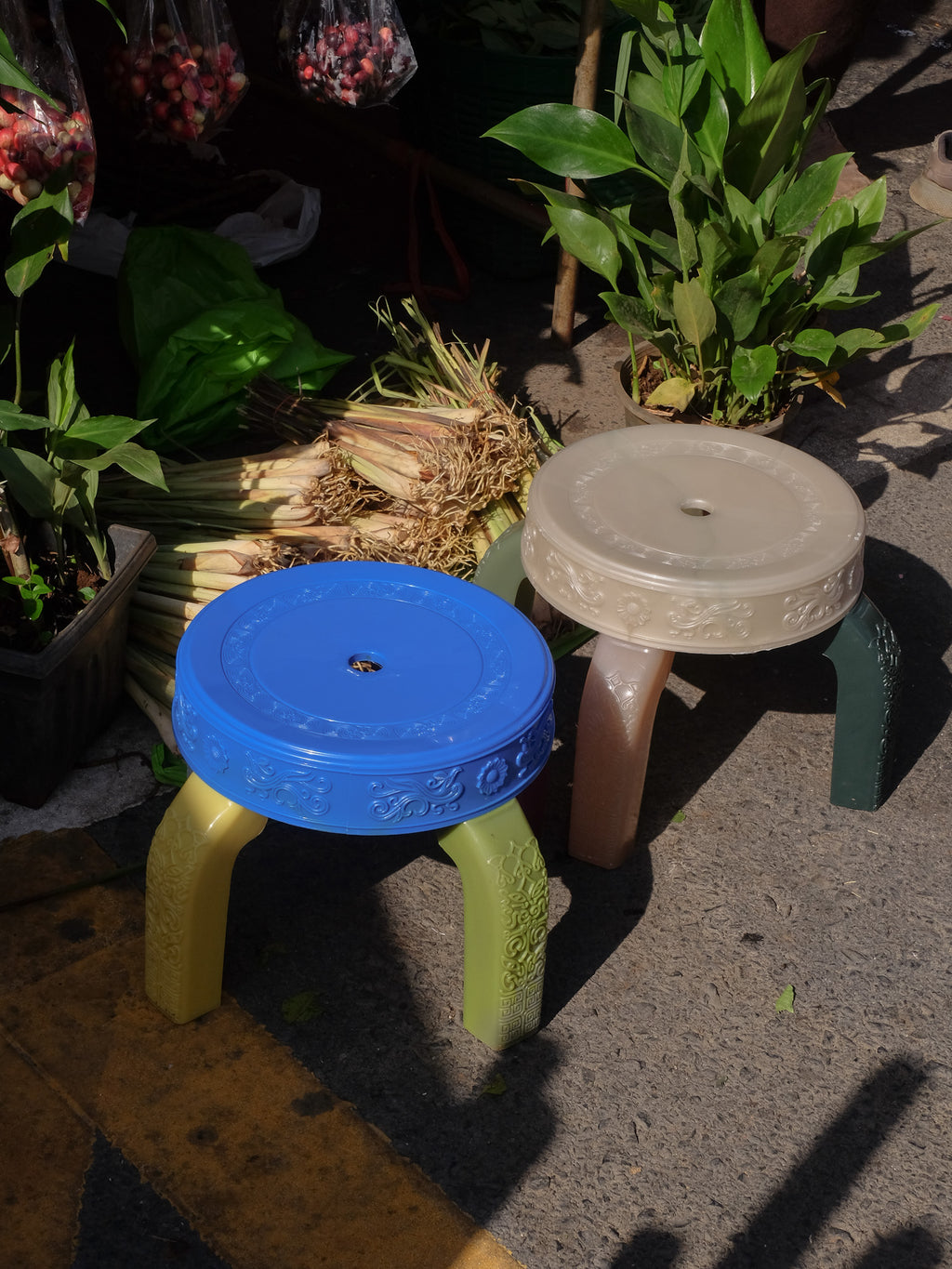 Squat Krasop