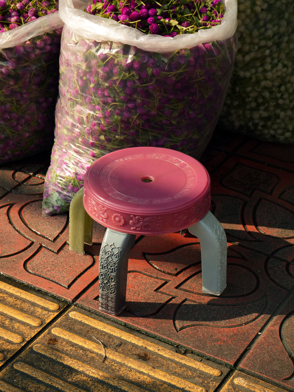 Squat Dragonfruit