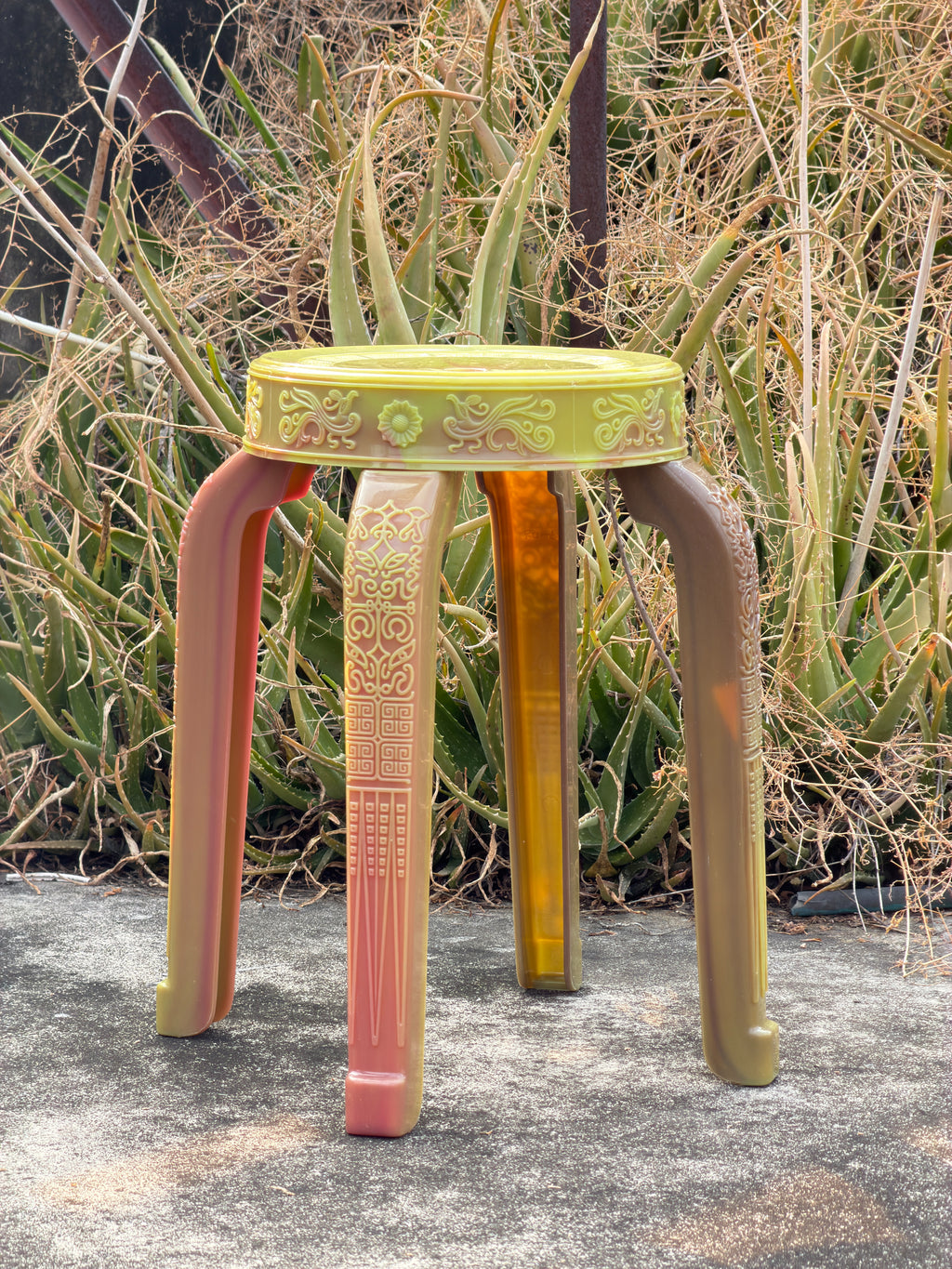 Rare Sanim Chameleon