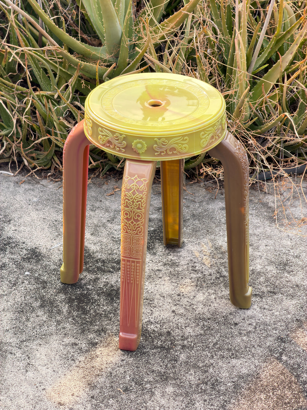 Rare Sanim Chameleon