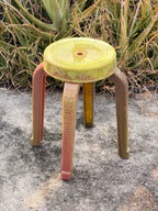 Rare Sanim Chameleon