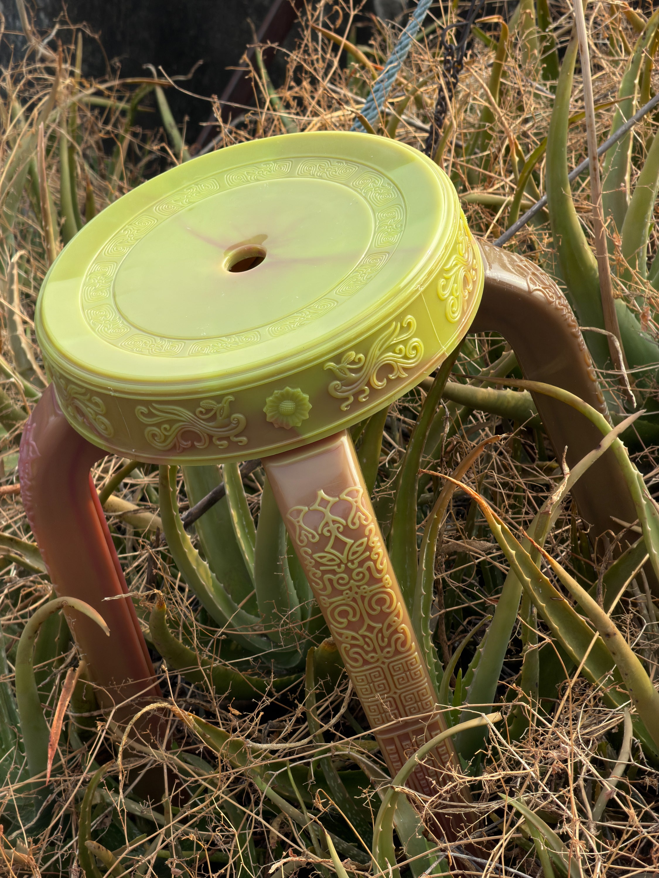 Rare Sanim Chameleon