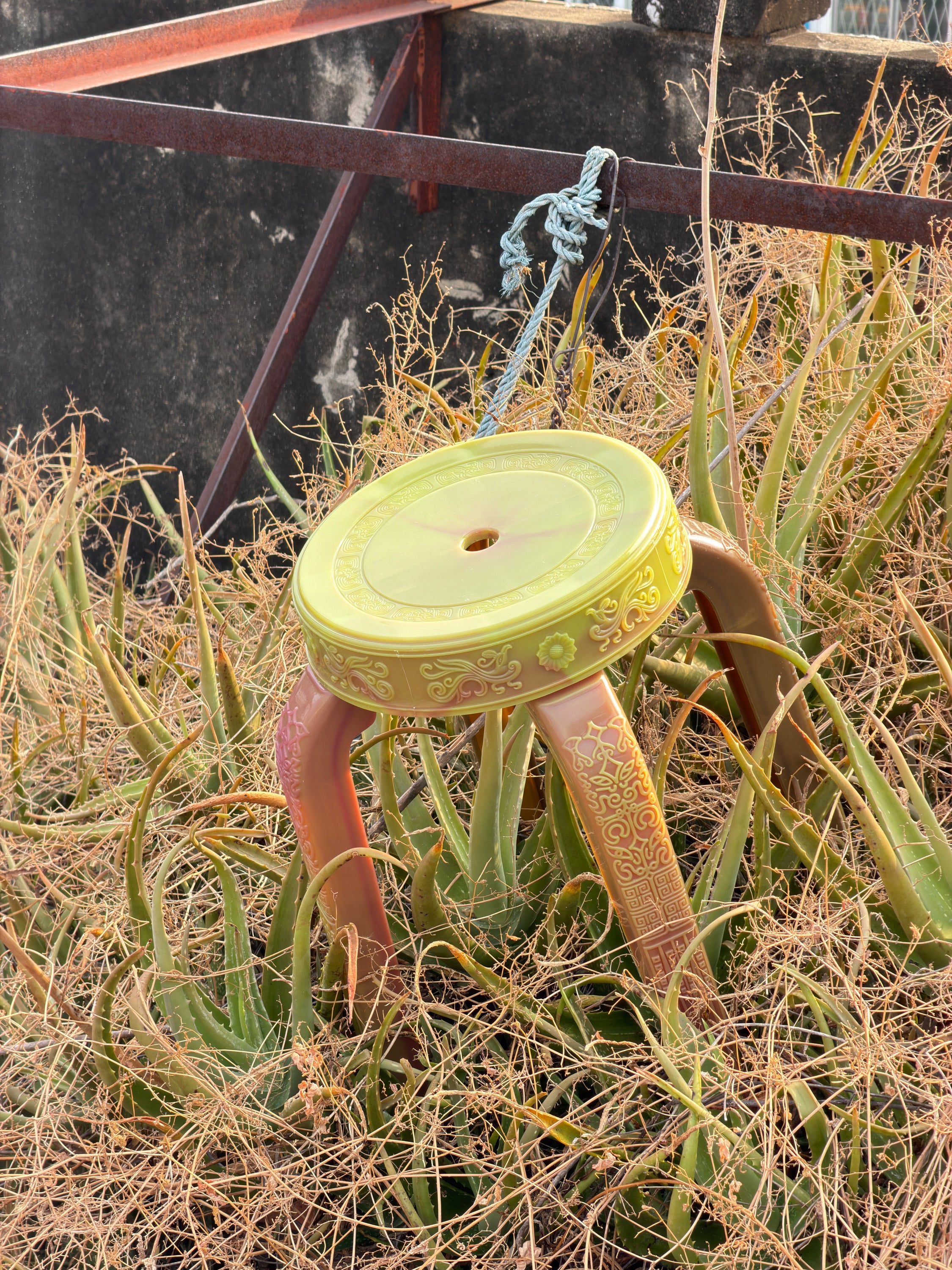 Rare Sanim Chameleon