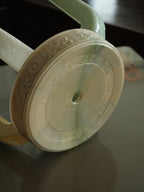 Rare Glowworm (glow in the dark)